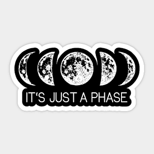 Moon Phases Astronomy Humor Sticker